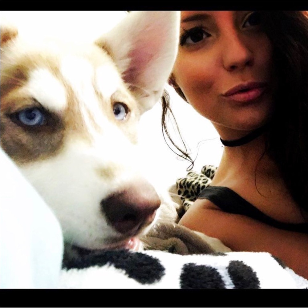 Meet your Posher, Brianne